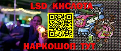 PSILOCYBIN Бугуруслан