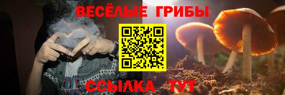 Галлюциногенные грибы Cubensis  Вход с VPN  Саров 