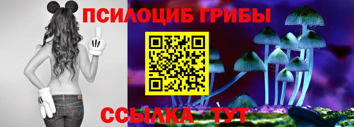 Псилоцибиновые грибы мухоморы Саров